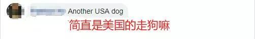 ⭐无异常的
kuaishou自助买号
如何买不易弹验的